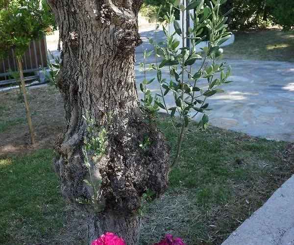 Pefka Βίλα Kalivia (Skiathos)